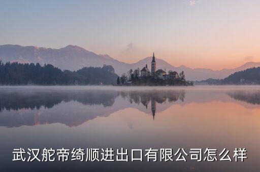 漢口北電商集團(tuán)怎么樣,阿里巴巴在國(guó)內(nèi)創(chuàng)辦第一所淘寶商學(xué)院