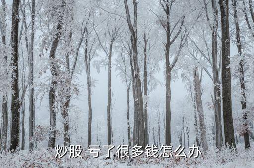 炒股虧了一半了怎么辦,炒股虧了可以通過炒股賺回來(lái)