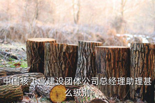 中國核工業(yè)集團(tuán)什么級別，中國核工業(yè)建設(shè)團(tuán)體公司總經(jīng)理助理甚么級別