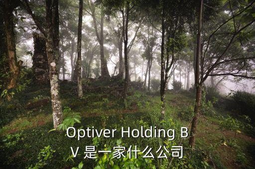 什么是nyme原油，Optiver Holding BV 是一家什么公司