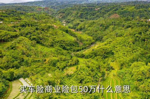 買(mǎi)車(chē)險(xiǎn)商業(yè)險(xiǎn)包50萬(wàn)什么意思
