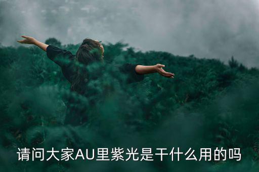 請(qǐng)問(wèn)大家AU里紫光是干什么用的嗎