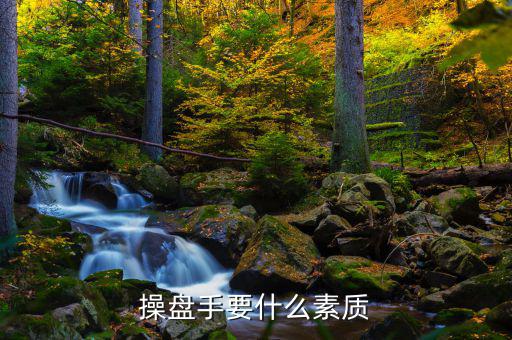 操盤手有什么要求，操盤手要什么素質