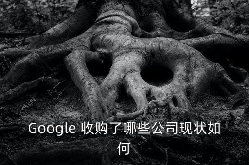 Google 收購了哪些公司現狀如何