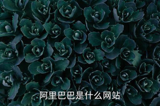 阿里巴巴是什么網(wǎng)站，阿里巴巴是什么網(wǎng)站