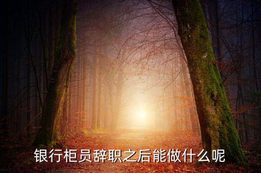 銀行辭職后做什么，銀行柜員辭職之后能做什么呢