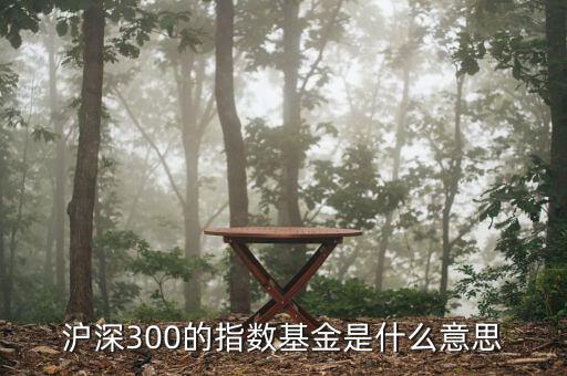 基金滬深300什么，滬深300的指數(shù)基金是什么意思