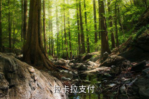 拉卡拉便利支付是什么，什么是銀聯(lián)拉卡啦支付