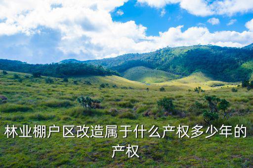 什么是林業(yè)棚戶區(qū)，請問蛟河林業(yè)棚戶區(qū)建造的樓房為什么收取物業(yè)費(fèi)會(huì)和取暖費(fèi)捆綁在一