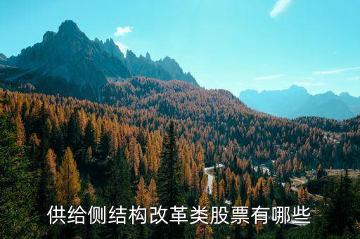 供給側(cè)最利好什么股票，供給側(cè)改革概念股有哪些