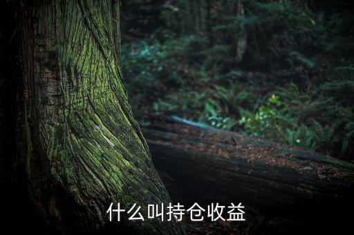 理財(cái)里的持倉(cāng)收益是什么意思，基金 持倉(cāng)收益7579 是什么意思啊 本人是新手