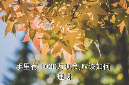 中獎(jiǎng)1000萬怎么理財(cái),1000萬資金可投資股市