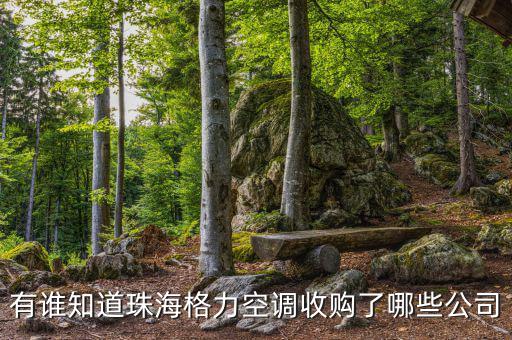 格力收購什么，有誰知道珠海格力空調(diào)收購了哪些公司