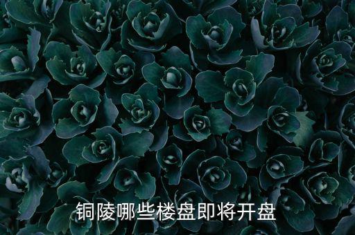銅陵哪些樓盤即將開(kāi)盤