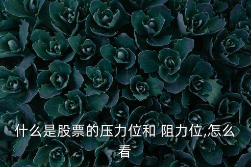什么是股票的壓力位和 阻力位,怎么看