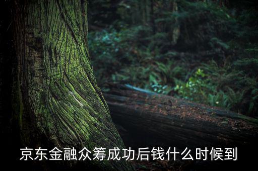 京東金融活動(dòng)什么時(shí)候結(jié)束，金條的活動(dòng)什么時(shí)候結(jié)束啊