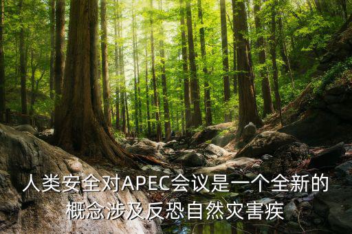 2014apec峰會簽署了什么文件，亞洲和太平洋地區(qū)經(jīng)濟合作會議簡稱 APEC
