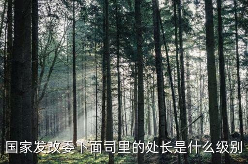 央企處長(zhǎng)是什么級(jí)別，央企比如移動(dòng) 電信 聯(lián)通 中石油石化 這些企業(yè)縣的老總是什么級(jí)別