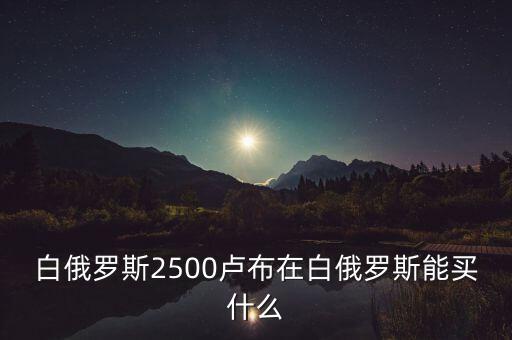 白俄羅斯盧布50可以買什么，白俄羅斯2500盧布在白俄羅斯能買什么