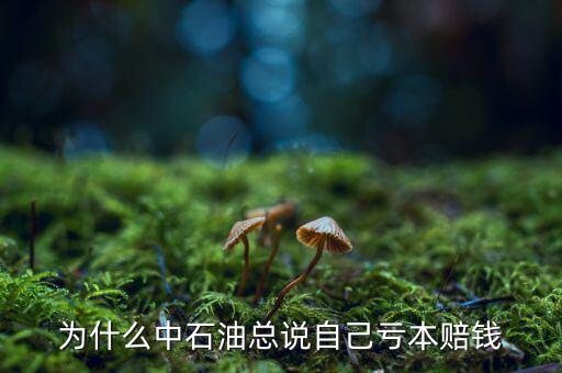 中石油為什么虧損，中石油為什么虧損慘重