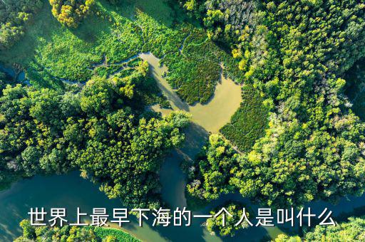 王木清什么時候下海的，我國英雄 下海 的故事