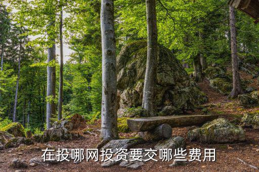 投哪網(wǎng)管理費(fèi)什么時(shí)候收取，投哪網(wǎng)收手續(xù)費(fèi)嗎