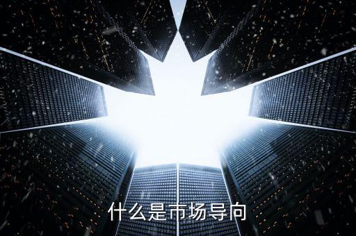 什么叫市場導(dǎo)向機(jī)制，什么是市場導(dǎo)向