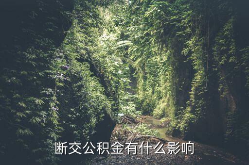 公積金斷了有什么影響，停繳公積金有什么影響