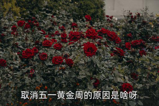 五一黃金周為什么取消，為什么取消五一黃金周