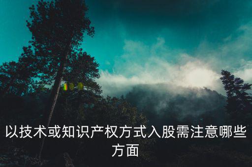 以技術(shù)入股什么都不會，以技術(shù)或知識產(chǎn)權(quán)方式入股需注意哪些方面