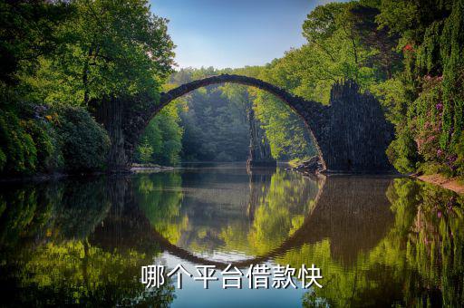 什么平臺(tái)容易借錢(qián)，什么借錢(qián)軟件容易借錢(qián)