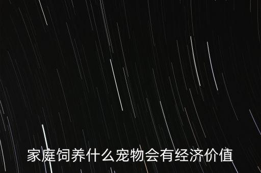 家庭飼養(yǎng)什么寵物會有經(jīng)濟(jì)價值