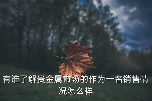 貴金屬公司為什么泛濫，有誰(shuí)了解貴金屬市場(chǎng)的作為一名銷(xiāo)售情況怎么樣