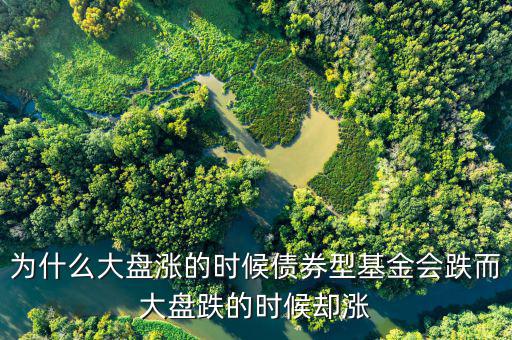 為什么大盤跌基金漲，為啥大盤漲基金反而跌基金又漲