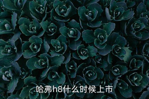 哈佛h8什么時候上市的，哈弗h8什么時候上市