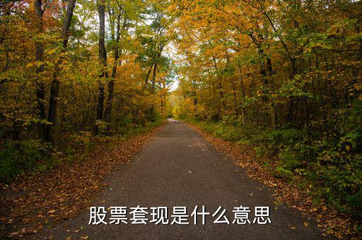 股票套現(xiàn)什么意思，股票當中的套現(xiàn)是什么意思