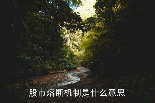 熔斷機制是什么意思，熔斷機制怎么理解啊