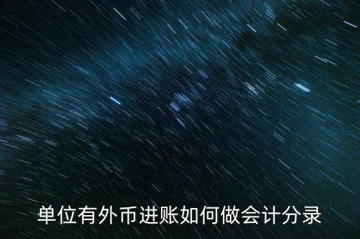 人民幣購?fù)鈪R怎么憑證借貸怎么做,財務(wù)軟件使用外幣核算
