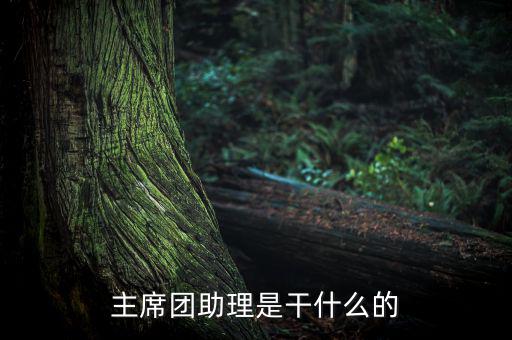 主席團助理做什么，主席團助理是干什么的