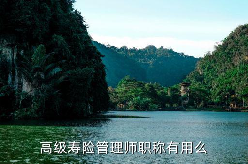 保險高管證有什么用，朋友讓我?guī)退急ｋU高管證說考過了我就是他公司的法人這兩個