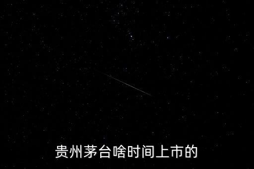 貴州茅臺什么時候上市，貴州茅臺啥時間上市的