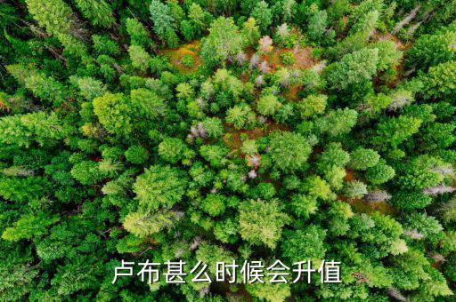 盧布什么時候升值，盧布甚么時候會升值