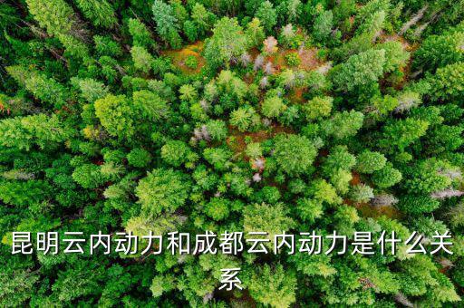云南云內(nèi)動力是什么性質(zhì)，什么是云內(nèi)發(fā)動機