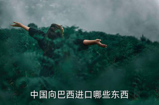 美國(guó)從巴西進(jìn)口什么，中國(guó)向巴西進(jìn)口哪些東西