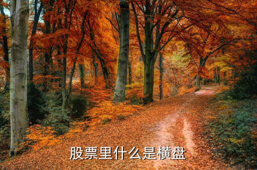 橫盤調(diào)整什么意思，股民們說(shuō)的建倉(cāng)橫盤是什么意思