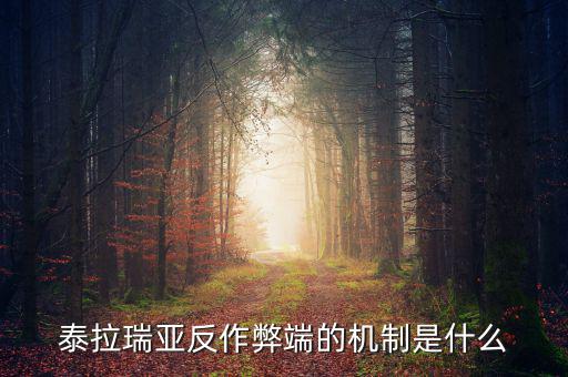什么是反舞弊機制，google廣告聯(lián)盟反作弊系統(tǒng)原理嗎