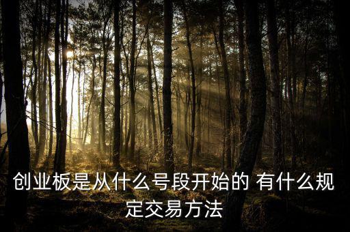創(chuàng)業(yè)板什么開(kāi)頭，創(chuàng)業(yè)板代碼什么數(shù)字開(kāi)頭