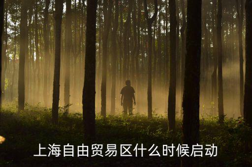 上海自貿區(qū)什么時候開放，上海自由貿易區(qū)什么時候啟動