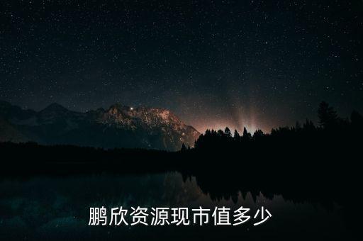 鵬欣資源是什么公司，鵬欣資源現(xiàn)市值多少