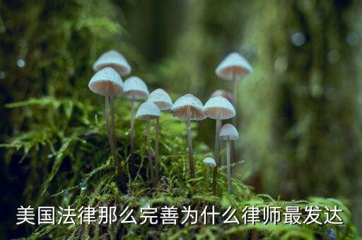為什么美國賠償那么高，美國人為什么那么高